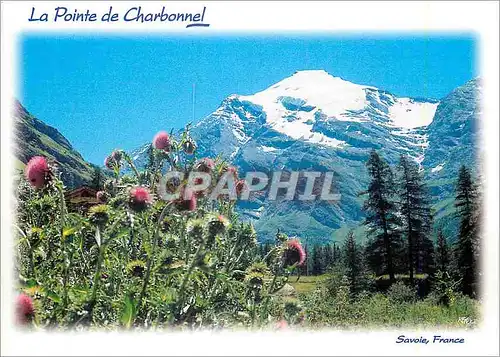 Cartes postales moderne En Haute Maurienne Savoie Environs de Bessons La Pointe de Charbonnel