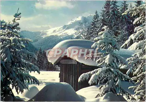 Cartes postales moderne Au pied des sommets