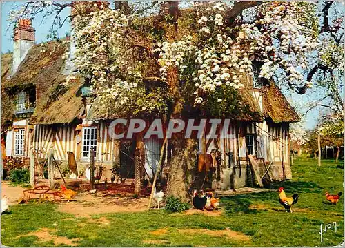 Moderne Karte En Vallee d'Auge La Luxuriante Normandie