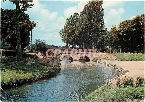 Cartes postales moderne Le Val de Loire Chouzy sur Cisse Loir et Cher