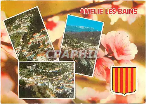 Cartes postales moderne Amelie les Bains Divers aspects Station thermale repute