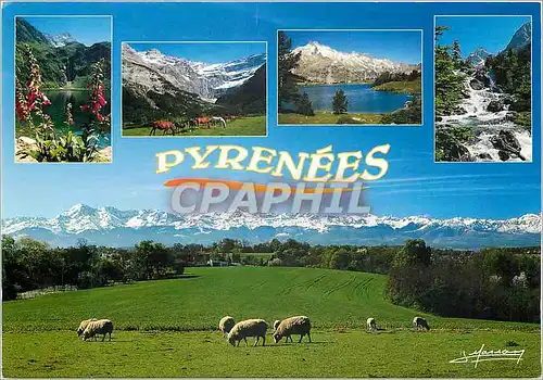 Cartes postales moderne La Chaine des Pyrenees Pic du Midi Vignemale Balaitous