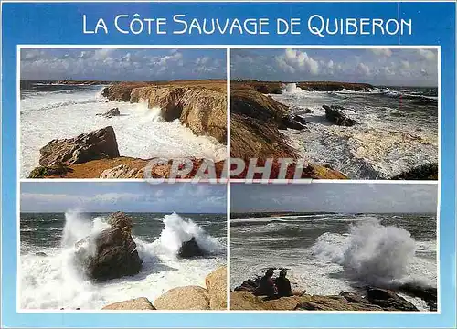 Cartes postales moderne La Cote Sauvage de Quiberon