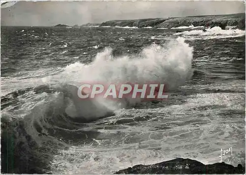 Moderne Karte Presqu'ile de Quiberon Morbihan La Cote Sauvage