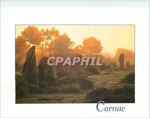 Cartes postales moderne Carnac Morbihan