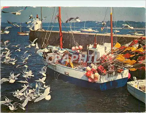 Cartes postales moderne Retour de Peche