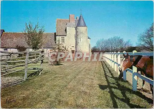Cartes postales moderne Chouzy sur Cisse Loir et Cher Manoir de Laleu