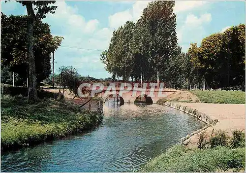 Moderne Karte Le Val de Loire Chouzy sur Cisse Loir et Cher