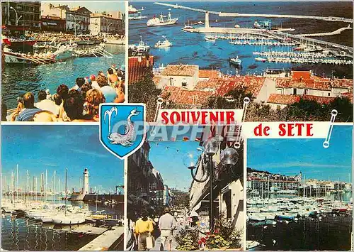 Cartes postales moderne Souvenir de Sete grand port mediterraneen