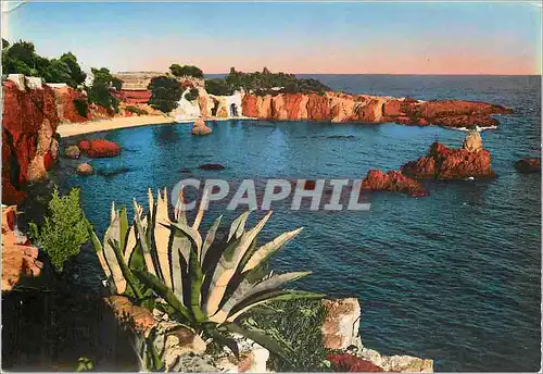 Cartes postales moderne Cote d'Azur Calanque et roches rouges de l'Esteret