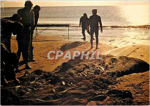 Cartes postales moderne Marseillan Plage Occitanie Un matin de traine