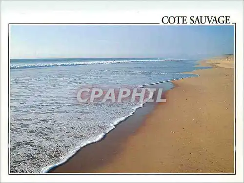 Cartes postales moderne Cote Sauvage