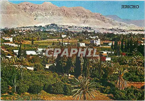 Cartes postales moderne Jericho Ville des palmiers dans la Vallee du Jourdain
