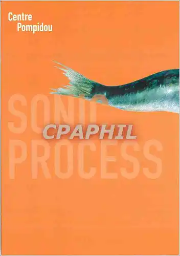 Moderne Karte Sonic Process Une Nouvelle Geographie des Sons