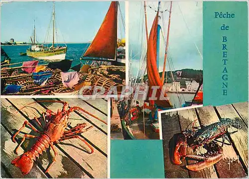 Cartes postales moderne Couleurs et Lumiere de France Peche de Bretagne