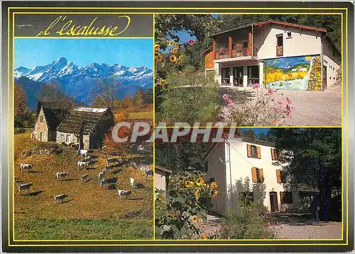 Cartes postales moderne Centre d'Accueil de L'Escalusse Classes de Decouvertes Sejours Vacances Erce