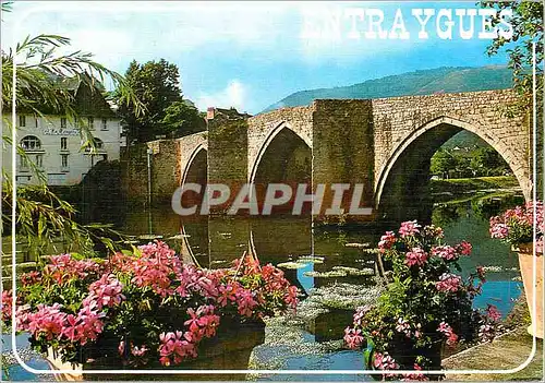 Moderne Karte Dans la vallee du Lot Entraygues Aveyron Le pont Gothique sur la Truyere