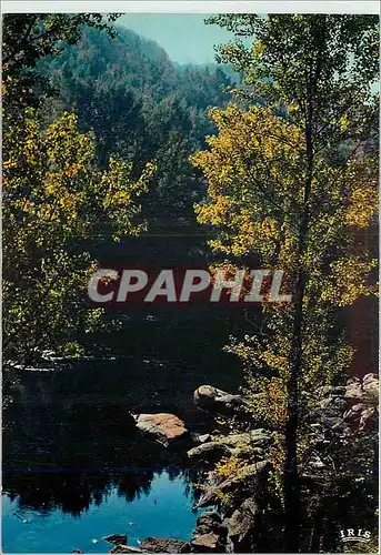 Cartes postales moderne Environs d'Entraygues sur Truyere Aveyron Les Gorges du Lot