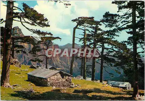 Cartes postales moderne Col de Bavella Bergeries et refuges