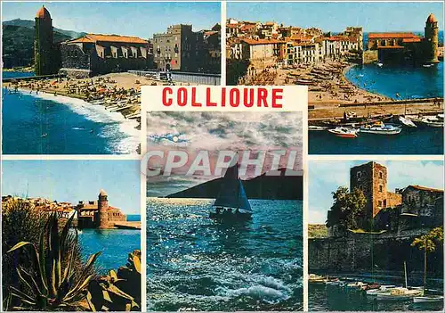 Cartes postales moderne La Cote Vermeille Collioure