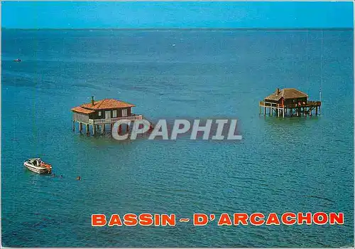 Cartes postales moderne Bassin d'Arcachon Gironde L'Ile aux Oiseaux