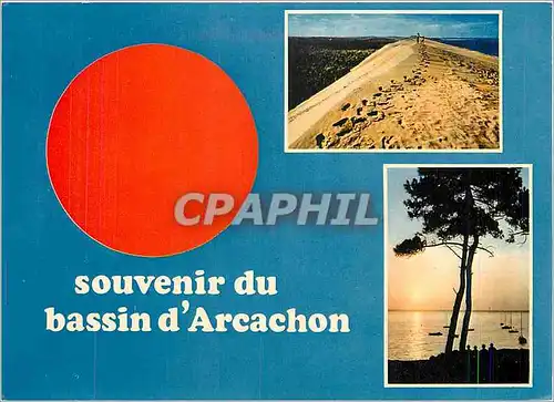 Cartes postales moderne Souvenir du Bassin d'Arcachon