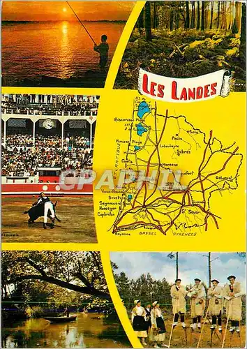 Cartes postales moderne Les Landes