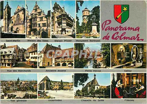 Cartes postales moderne Panorama de Colmar