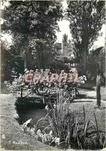 Cartes postales moderne Moret sur Loing Seine et Marne L'Eglise Notre Dame a Travers les apres d'un jardin fleuri des bo