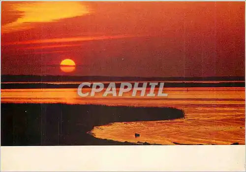 Cartes postales moderne Coucher de soleil