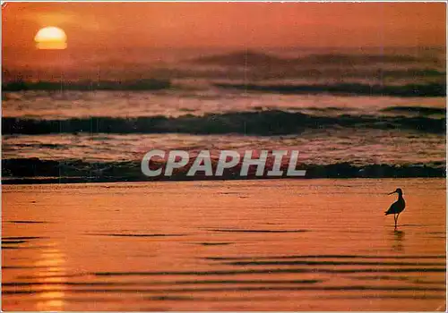 Cartes postales moderne Coucher de soleil