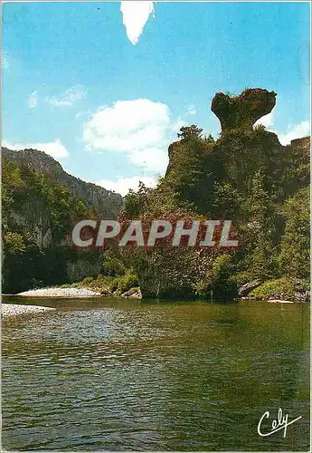 Cartes postales moderne Image de la Lozere Gorges du Tarn Le Rocher du Champignon