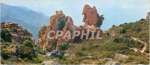 Cartes postales moderne Corse Ile de Beaute Piana Un coin des Calanche