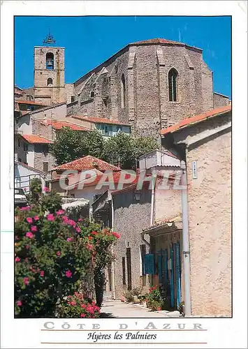 Cartes postales moderne Cote d'Azur Hyeres les Palmiers