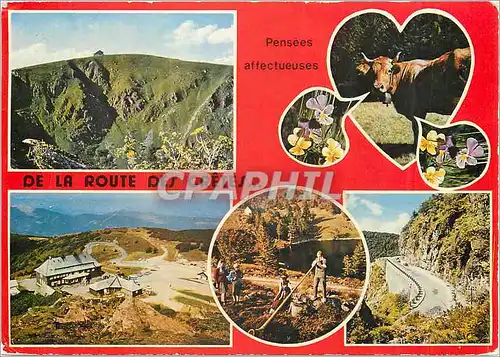 Cartes postales moderne Les Vosges Pittoresque La Route des Cretes Le Hohneck Le Grand Ballon