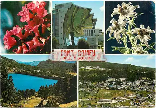 Cartes postales moderne Font Romeu Pyr Or Station Sportive Touristique Climatique