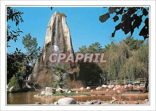 Moderne Karte Zoo de la Palmyre Le Rocher et les flamants roses