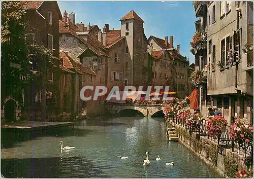 Moderne Karte Annecy Canal du Thiou Vieux Quartiers fleuris et Pont Morens