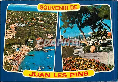 Cartes postales moderne Souvenir de Juan les Pins