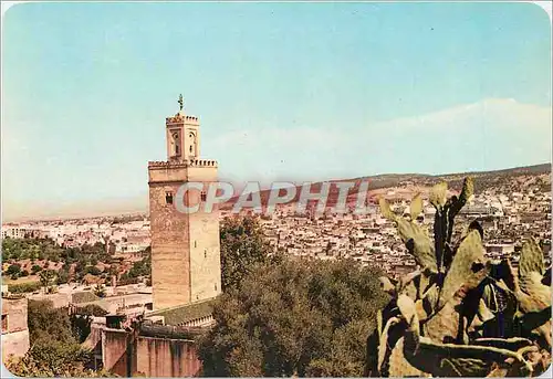 Cartes postales moderne Royaume du Maroc Fez au creux de tes douces collines