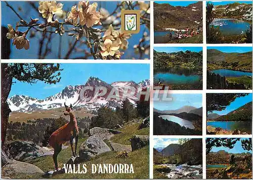 Cartes postales moderne Valls d'Andorra Divers aspects
