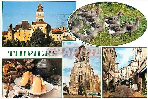 Cartes postales moderne Thiviers Dordogne Pittoresque Bourgade du Perigord vert