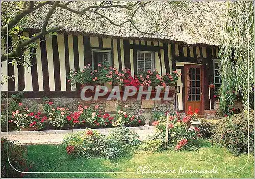 Cartes postales moderne Chaumiere Normande