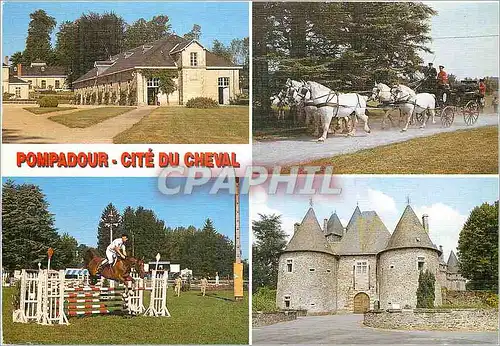 Cartes postales moderne Pompadour Cite du Cheval Le Haras National Le Chateau