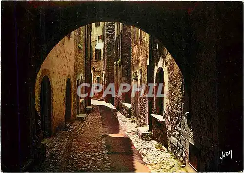 Cartes postales moderne La Cote d'Azur Miracle de la nature Saint Paul Alpes Maritimes Rue Grande