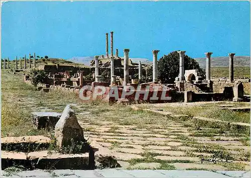 Moderne Karte Timgad Le Marche de Circuis