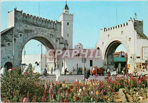 Cartes postales moderne Tunis Bab El Khadhra