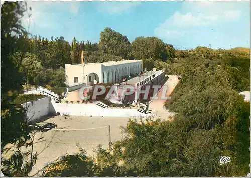 Cartes postales moderne Hammamet Hotel Miramar Volley-Ball Volley Ball