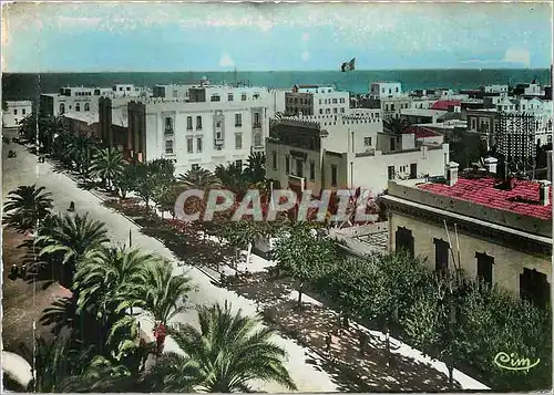 Cartes postales moderne Sfax Tunisie Avenue Jules Gau Controle Civil