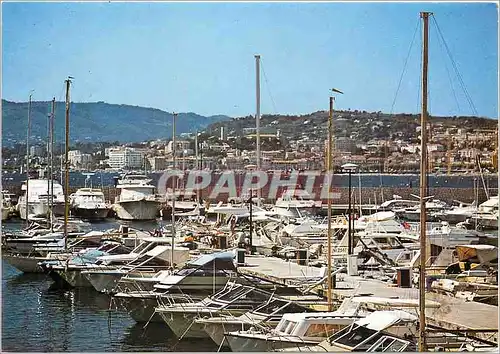 Cartes postales moderne Cannes Alpes Maritimes Port Canto au fond le Suquet et le vieux Port